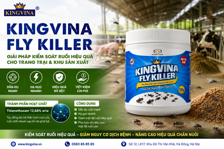 Kingvina Fly Killer có thực sự hiệu quả? Phân tích chi tiết và so sánh với các dòng bả diệt ruồi phổ biến trên thị trường